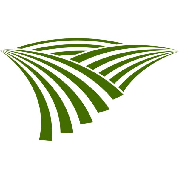 71 Rice Field Thumbnail